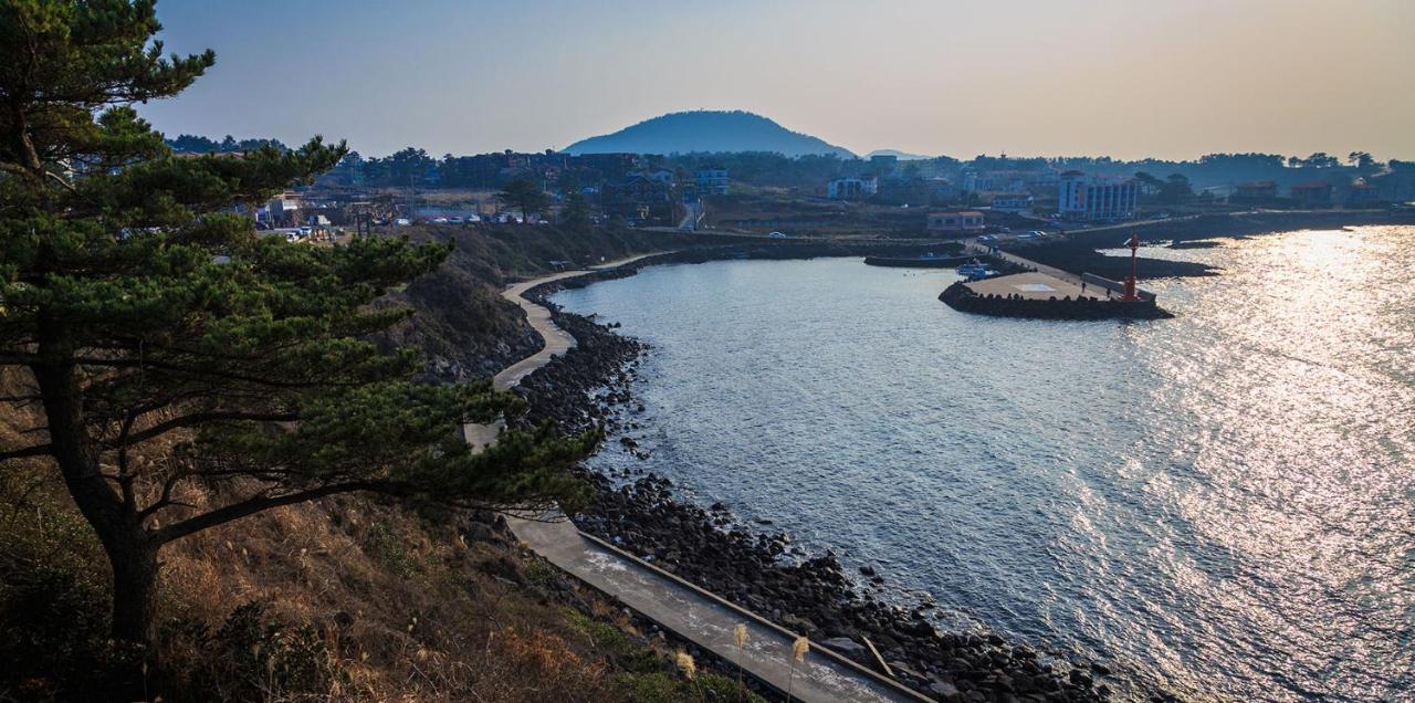 White Dream Pension Jeju Exterior photo
